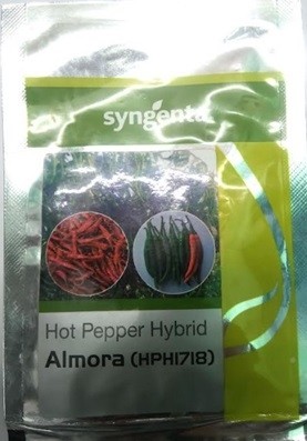 Syngenta ALMORA HPH 1718 Hot Pepper Hybrid Seeds
