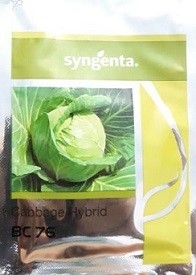 Syngenta BC 76 Cabbage Hybrid Seed