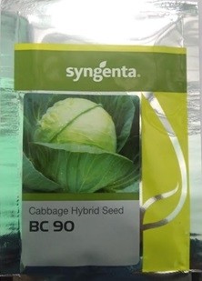 Syngenta BC 90 Hybrid Cabbage Seed