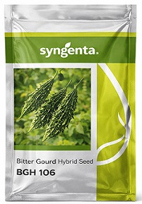 Syngenta BGH 106 Hybrid Bitter Gourd Seeds – 50g | High‑Yield Green Bitter Gourd Variety