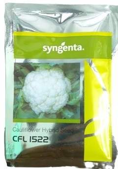 Syngenta CFL 1522 Hybrid Cauliflower Seed