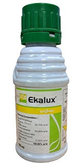 Syngenta Ekalux Insecticide – Quinalphos 25% EC for Paddy, Chilli & Pulse Crop Protection (200ml / 1000ml)