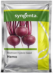Syngenta Hemo Beetroot Hybrid Seeds – 50g / 200g | High‑Yield Red Beet Variety