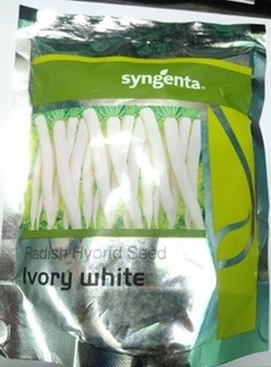 Syngenta Ivory White Radish Hybrid Seed