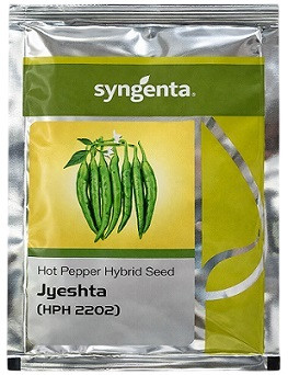 Syngenta Jyeshta HPH 2202 Hybrid Hot Pepper Seeds – 1500 Seeds Pack | High‑Yield Spicy Red Pepper Variety