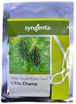 Syngenta Little Champ 75g Bittergourd Hybrid Seeds – Medium-Long Green Fruits
