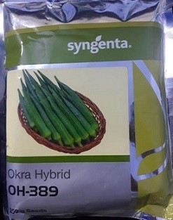 Syngenta OH 389 Okra Hybrid Seed