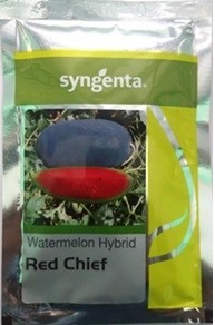 Syngenta RED CHIEF Watermelon Hybrid Seed