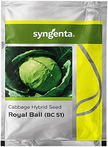 Syngenta Royal Ball BC 51 Hybrid Cabbage Seeds – 2000 Seeds Pack | High‑Yield Green Cabbage Variety
