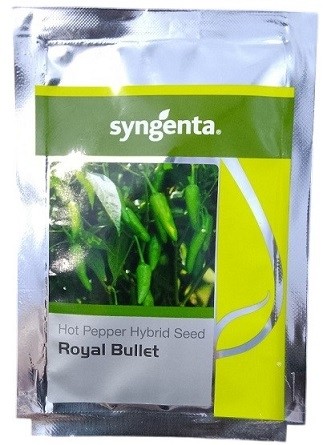 Syngenta Royal Bullet Hot Pepper Hybrid Seeds – Early Maturity, High Pungency, Export-Grade Yield | 9.1g Pack