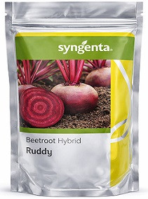 Syngenta Ruddy Hybrid Beet Root Seeds – 200g | High‑Yield Red Beet Variety