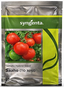 Syngenta Saaho (TO 3251) Hybrid Tomato Seeds – 3500 Seeds Pack | High‑Yield Red Tomato Variety