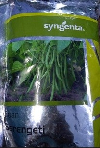 Syngenta Serengeti Bean Hybrid Seed