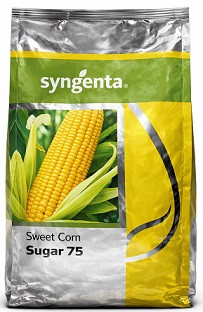 Syngenta Sugar 75 Sweet Corn Seeds – 1kg | High‑Yield Golden Sweetcorn Variety