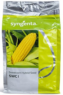 Syngenta SWC 1 Hybrid Sweetcorn Seeds – 1kg | High‑Yield Golden Sweetcorn Variety