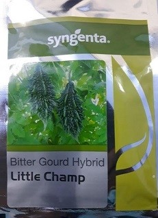 Syngenta Little Champ 75g Bittergourd Hybrid Seeds