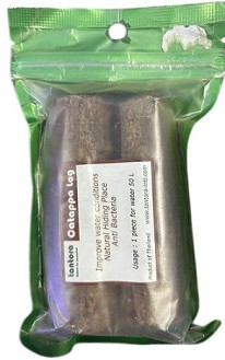 Tantora Catappa Log – Natural Shrimp Tank pH Conditioner & Health Booster (2 Logs/Pack)