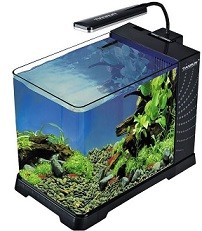 best online aquarium pets garden accessories store in india