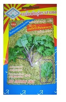 Sam A Red Siberian Kale Gardening Seeds