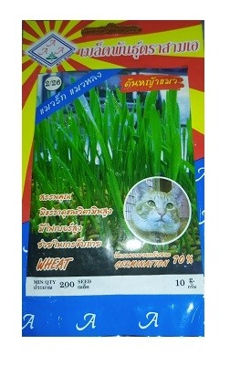 Triple A Wheatgrass Pets Cat Grass Seeds