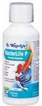 Waterlife Bacterlife P 