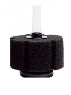 XY 2835 Hydro Sponge Filter 