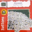 Hybrid Alyssum Flower Seeds