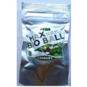 Azoo Max Bio Ball