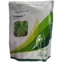 BAYER Seminis FALGUNI Beans Hybrid Seed