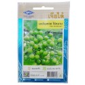 Chia Tai Home Garden Pea Eggplant Seeds