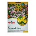 East West Seeds Zinnia Sunbrust Mixed Seeds