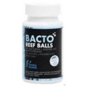 Fauna Marin Bacto Reef Balls