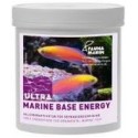 Fauna Marin Base Energy 