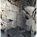 Groundnut Oil Cake Manure Fertilizer – Organic Nutrient-Rich Soil Booster (2 kg)
