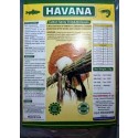 HAVANA Spray Dried Molasses