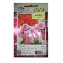 Chia Tai Home Garden Balsam Flower Seeds