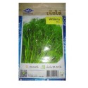 Chia Tai Home Garden Dill Seeds