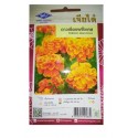 Chia Tai Home Garden French Marigold Seeds