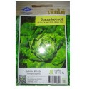 Chia Tai Home Garden Lettuce Butter Head Deli Seeds