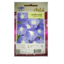 Chia Tai Home Garden Morning Glory Flower Seeds