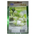 Chia Tai Home Garden Pumpkin Small White Seeds