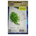 Chia Tai Home Garden Radish Sprout Seeds