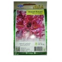Chia Tai Home Garden Red Cos Summer Lettuce Seeds