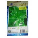 Chia Tai Home Garden Sweet Basil Seeds