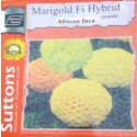 Hybrid AFRICAN INCA Marigold Flower Seeds