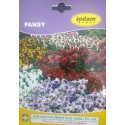 Hybrid Pansy Flower Seeds