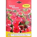 Hybrid Petunia Flower Seeds