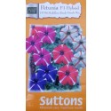 Hybrid Petunia Flower Seeds