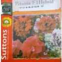 Hybrid Petunia Flower Seeds