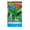 Triple A Dinosaur Kale Gardening Seeds